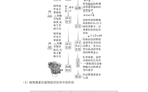 第34讲细胞工程和胚胎工程_2024年新高考资料_1.2024一轮复习_2024年高考生物一轮复习讲义（新人教版）_另附1套Word版题库_选择性必修3_第十单元生物技术与工程