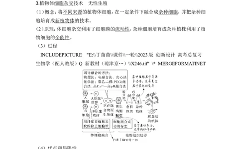 第34讲细胞工程和胚胎工程_2024年新高考资料_1.2024一轮复习_2024年高考生物一轮复习讲义（新人教版）_另附1套Word版题库_选择性必修3_第十单元生物技术与工程