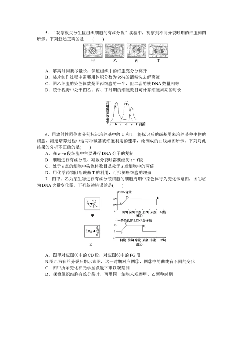 专练32　细胞有丝分裂的图表分析_新高考复习资料_2023年新高考复习资料_专项复习_2023《微专题&middot;小练习》&middot;生物&middot;新教材&middot;XL-7