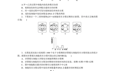 专练32　细胞有丝分裂的图表分析_新高考复习资料_2023年新高考复习资料_专项复习_2023《微专题&middot;小练习》&middot;生物&middot;新教材&middot;XL-7