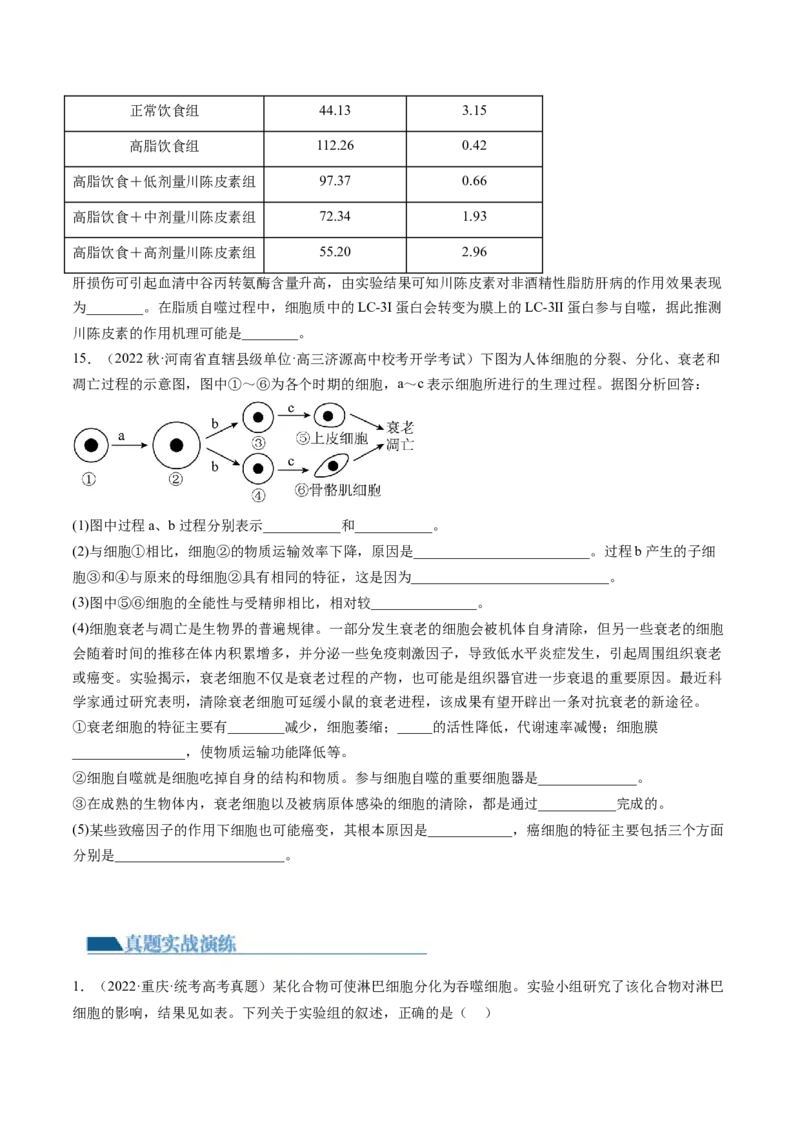 第14讲细胞的分化、衰老、死亡和癌变（练习）（原卷版）_2024年新高考资料_1.2024一轮复习_2024年高考生物一轮复习讲练测（新教材新高考）