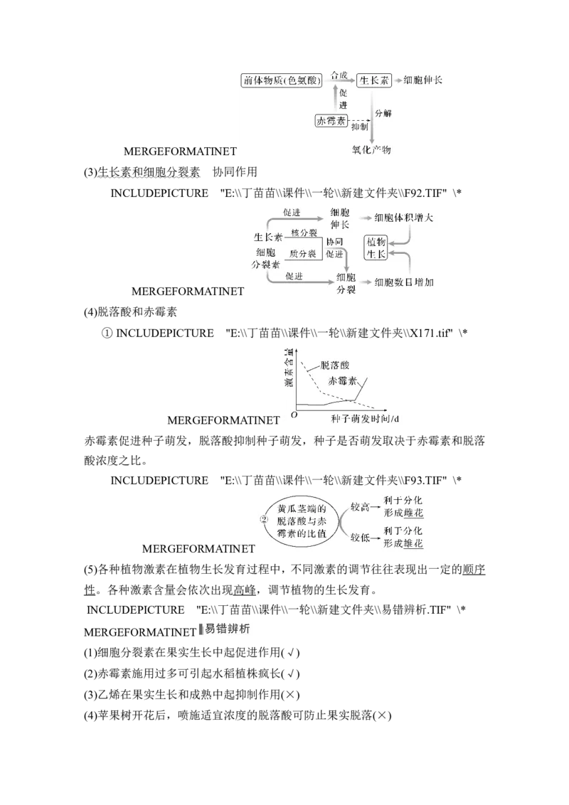 第26讲植物生命活动的调节_2024年新高考资料_1.2024一轮复习_2024年高考生物一轮复习讲义（新人教版）_另附1套Word版题库_选择性必修1_第八单元稳态与调节
