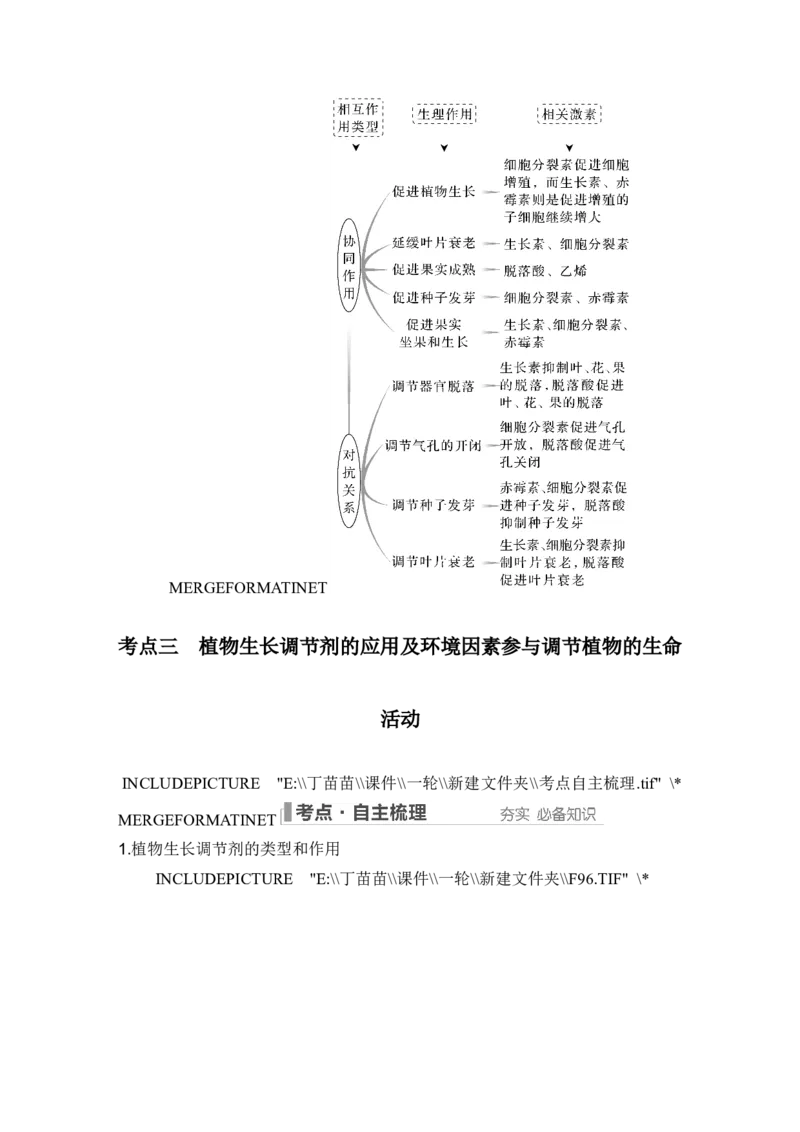 第26讲植物生命活动的调节_2024年新高考资料_1.2024一轮复习_2024年高考生物一轮复习讲义（新人教版）_另附1套Word版题库_选择性必修1_第八单元稳态与调节