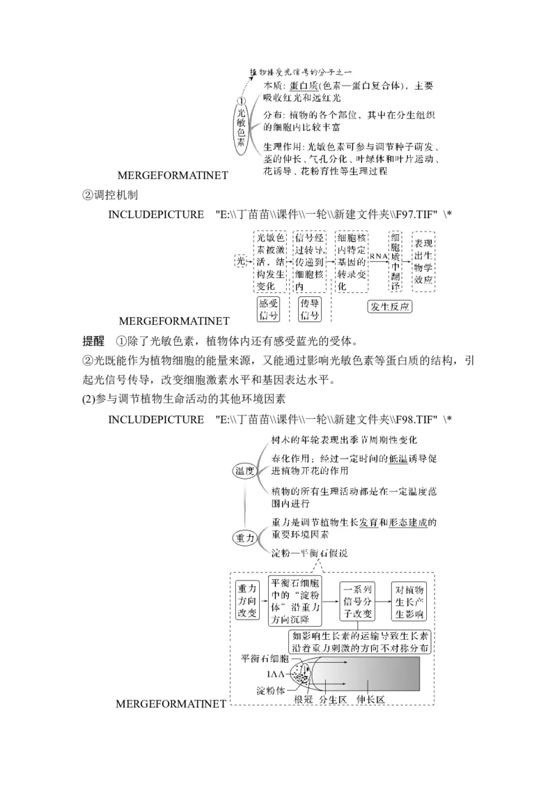 第26讲植物生命活动的调节_2024年新高考资料_1.2024一轮复习_2024年高考生物一轮复习讲义（新人教版）_另附1套Word版题库_选择性必修1_第八单元稳态与调节