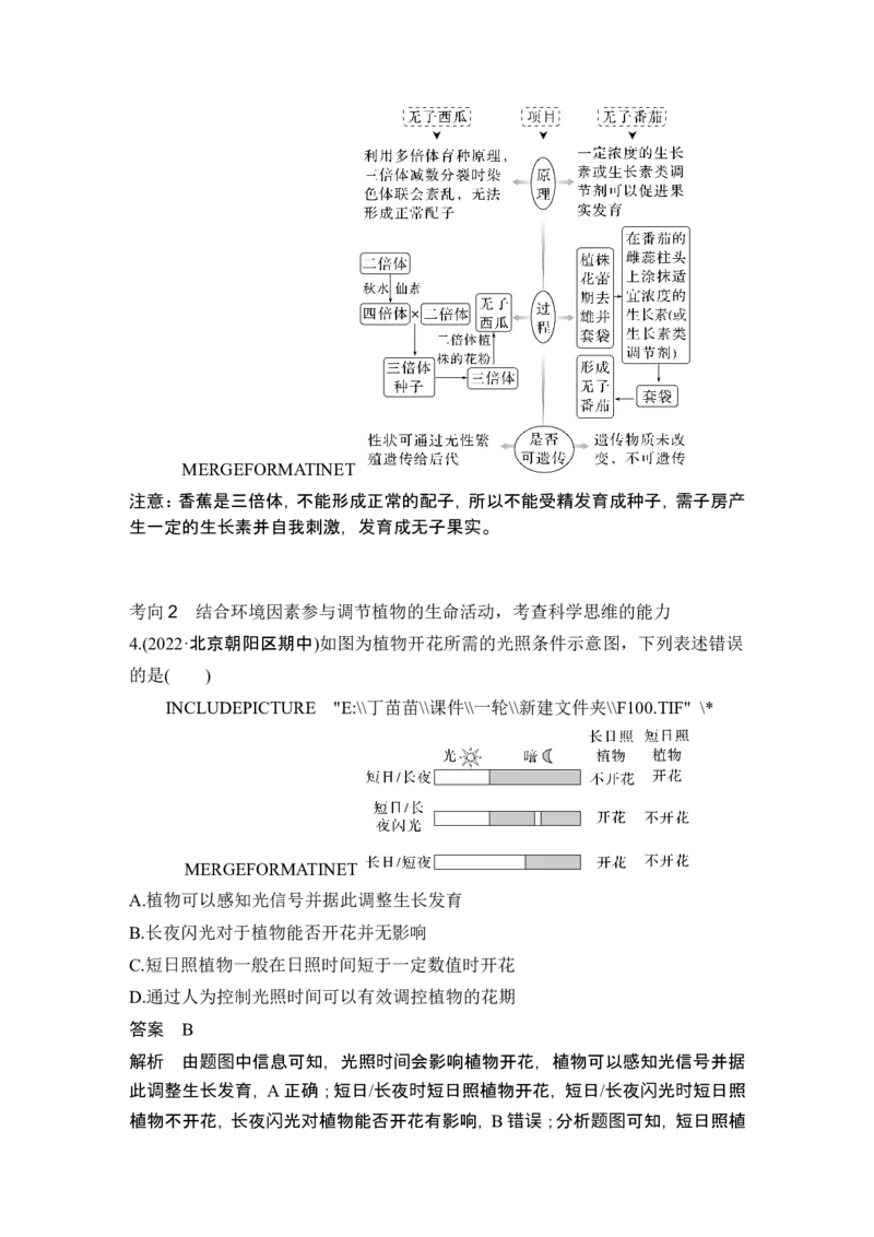 第26讲植物生命活动的调节_2024年新高考资料_1.2024一轮复习_2024年高考生物一轮复习讲义（新人教版）_另附1套Word版题库_选择性必修1_第八单元稳态与调节