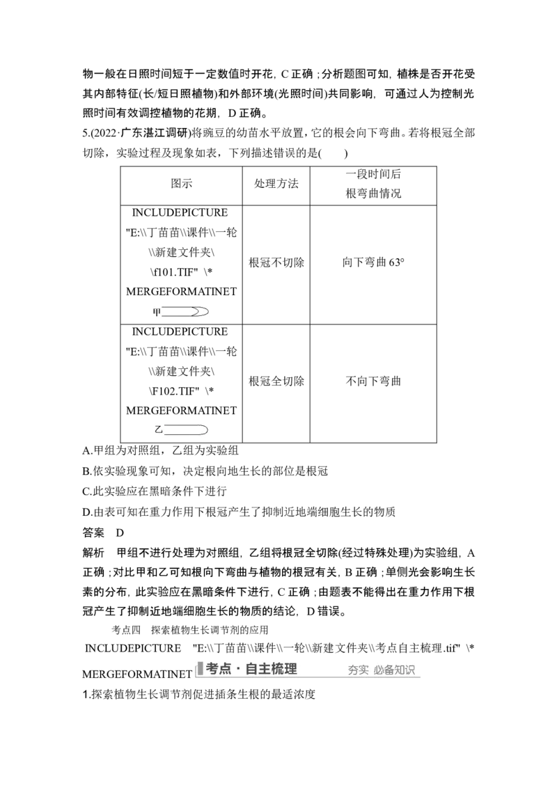 第26讲植物生命活动的调节_2024年新高考资料_1.2024一轮复习_2024年高考生物一轮复习讲义（新人教版）_另附1套Word版题库_选择性必修1_第八单元稳态与调节