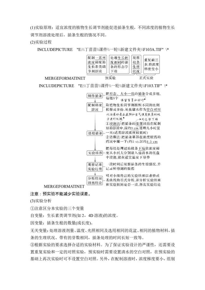 第26讲植物生命活动的调节_2024年新高考资料_1.2024一轮复习_2024年高考生物一轮复习讲义（新人教版）_另附1套Word版题库_选择性必修1_第八单元稳态与调节