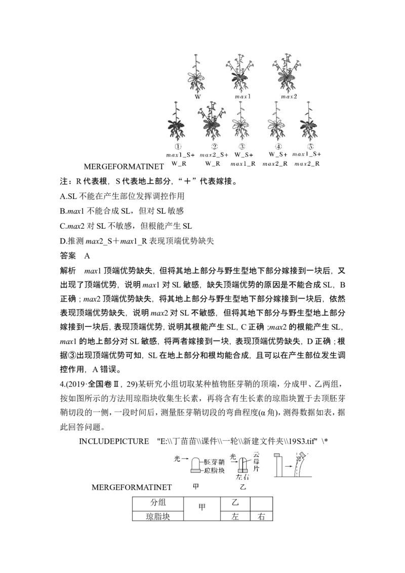 第26讲植物生命活动的调节_2024年新高考资料_1.2024一轮复习_2024年高考生物一轮复习讲义（新人教版）_另附1套Word版题库_选择性必修1_第八单元稳态与调节