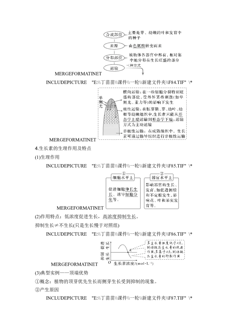 第26讲植物生命活动的调节_2024年新高考资料_1.2024一轮复习_2024年高考生物一轮复习讲义（新人教版）_另附1套Word版题库_选择性必修1_第八单元稳态与调节