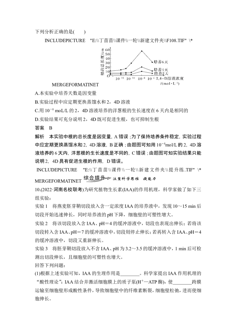 第26讲植物生命活动的调节_2024年新高考资料_1.2024一轮复习_2024年高考生物一轮复习讲义（新人教版）_另附1套Word版题库_选择性必修1_第八单元稳态与调节