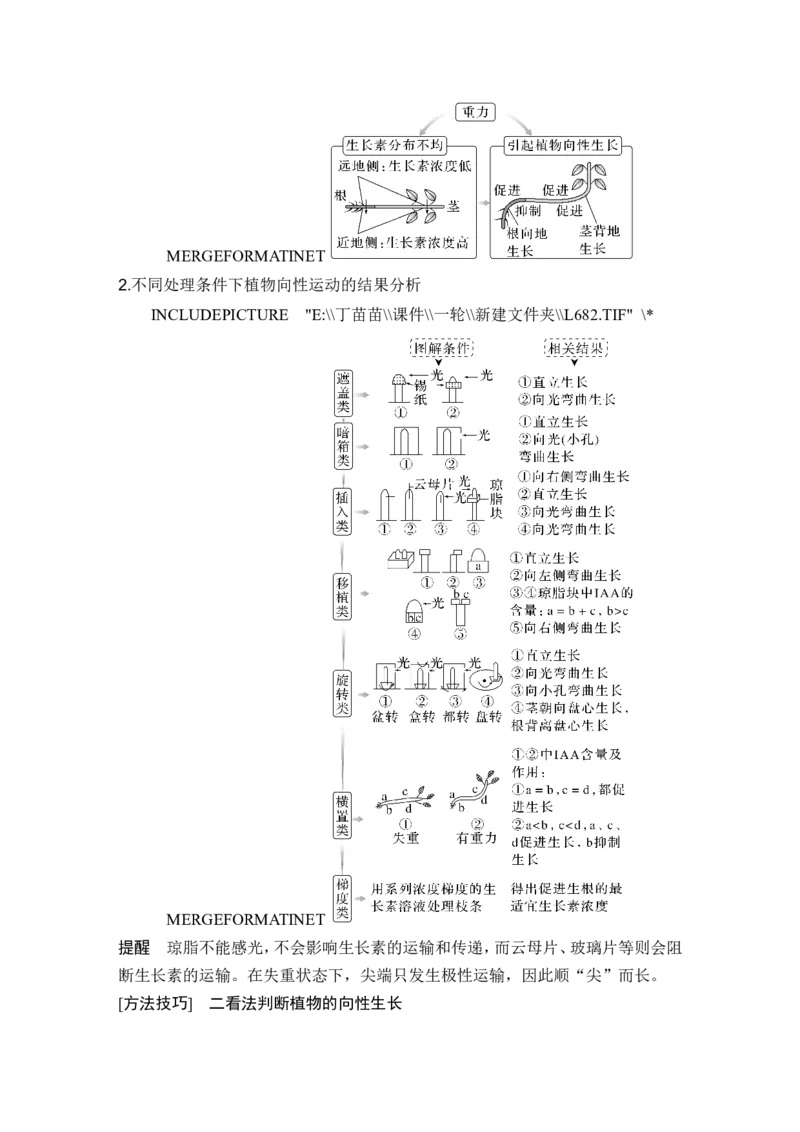 第26讲植物生命活动的调节_2024年新高考资料_1.2024一轮复习_2024年高考生物一轮复习讲义（新人教版）_另附1套Word版题库_选择性必修1_第八单元稳态与调节