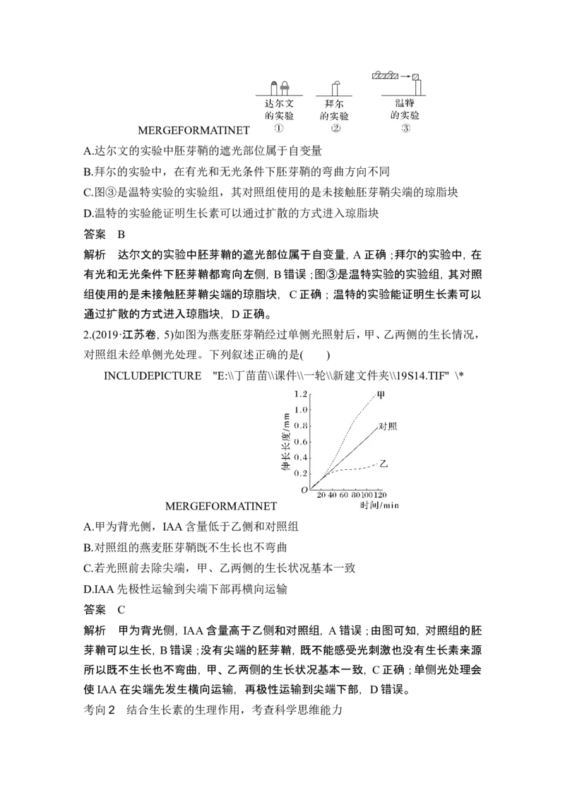第26讲植物生命活动的调节_2024年新高考资料_1.2024一轮复习_2024年高考生物一轮复习讲义（新人教版）_另附1套Word版题库_选择性必修1_第八单元稳态与调节