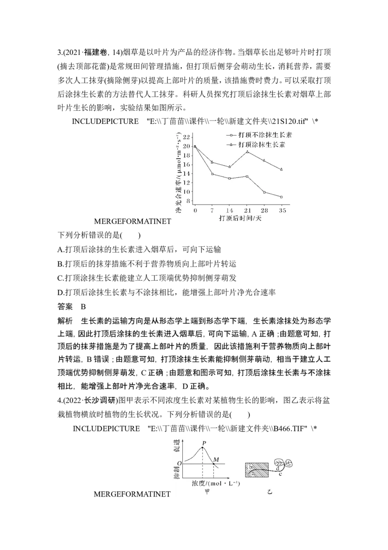 第26讲植物生命活动的调节_2024年新高考资料_1.2024一轮复习_2024年高考生物一轮复习讲义（新人教版）_另附1套Word版题库_选择性必修1_第八单元稳态与调节
