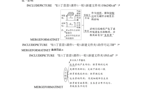 第26讲植物生命活动的调节_2024年新高考资料_1.2024一轮复习_2024年高考生物一轮复习讲义（新人教版）_另附1套Word版题库_选择性必修1_第八单元稳态与调节