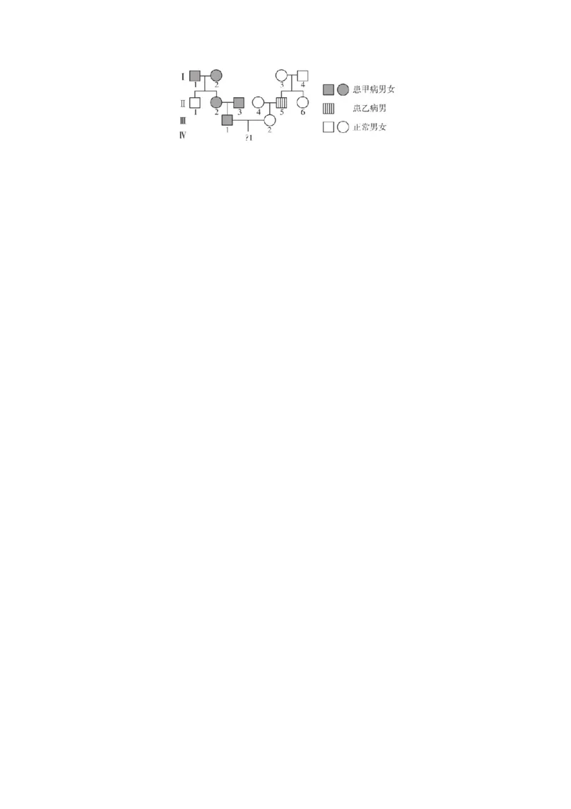 GKSW150_第15讲伴性遗传、人类遗传病-备战2022年高考生物一轮复习精品讲义（人教版）(解析版)_新高考复习资料_2022年新高考复习资料_备战2022新高考生物一轮复习精品讲义（人教版）