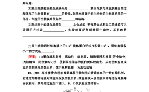 [13326473]备考2023生物课时分层作业5　细胞器之间的分工合作(含解析）_新高考复习资料_2023年新高考复习资料_专项复习_备考2023新高考生物课时分层作业