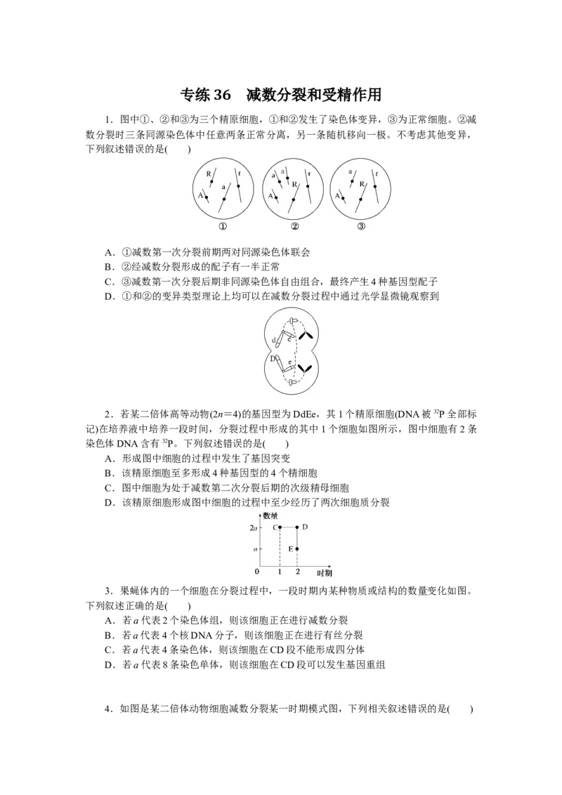 专练36　减数分裂和受精作用_通用版（老高考）复习资料_2023年复习资料_专项复习_2023《微专题&middot;小练习》&middot;生物