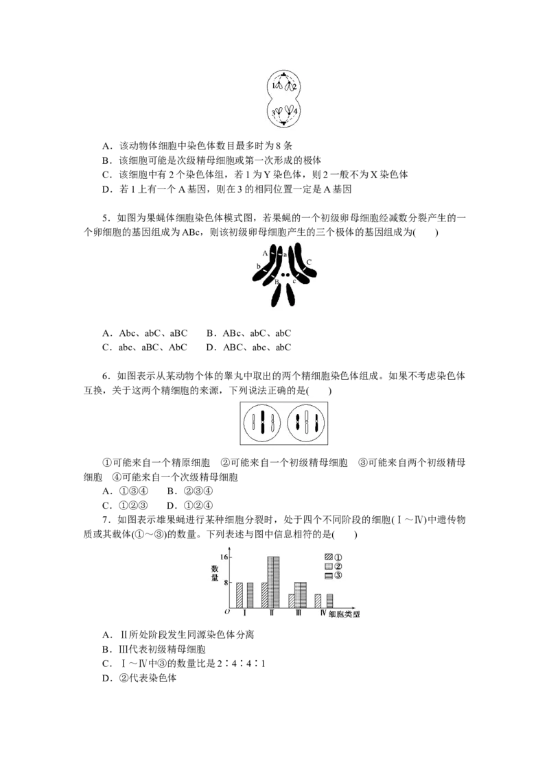 专练36　减数分裂和受精作用_通用版（老高考）复习资料_2023年复习资料_专项复习_2023《微专题&middot;小练习》&middot;生物