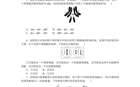 专练36　减数分裂和受精作用_通用版（老高考）复习资料_2023年复习资料_专项复习_2023《微专题&middot;小练习》&middot;生物