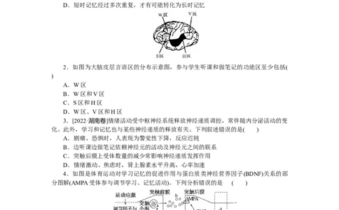 专练69　人脑的高级功能_新高考复习资料_2023年新高考复习资料_专项复习_2023《微专题&middot;小练习》&middot;生物&middot;新教材&middot;XL-7