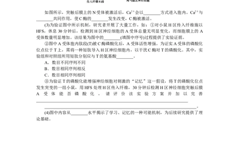 专练69　人脑的高级功能_新高考复习资料_2023年新高考复习资料_专项复习_2023《微专题&middot;小练习》&middot;生物&middot;新教材&middot;XL-7