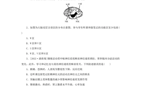2023版新教材高考生物微专题小练习专练69人脑的高级功能202208091238_通用版（老高考）复习资料_2023年复习资料_一轮复习_2023届高考生物一轮微专题100练