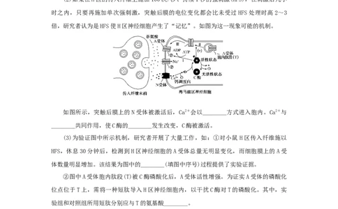 2023版新教材高考生物微专题小练习专练69人脑的高级功能202208091238_通用版（老高考）复习资料_2023年复习资料_一轮复习_2023届高考生物一轮微专题100练