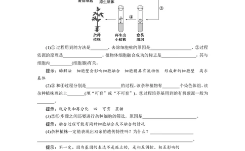 [12533120]高中生物一轮复习学案：第36讲　细胞工程_新高考复习资料_2023年新高考复习资料_一轮复习_精讲精练2023届新高考生物一轮复习学案