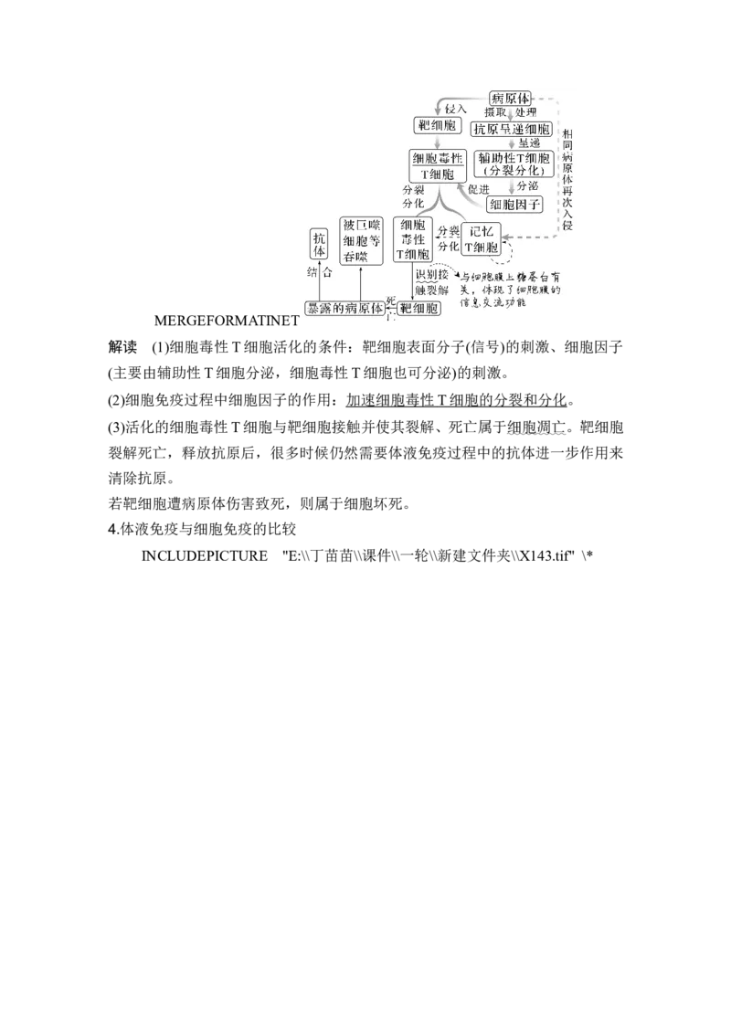 第25讲免疫调节_2024年新高考资料_1.2024一轮复习_2024年高考生物一轮复习讲义（新人教版）_另附1套Word版题库_选择性必修1_第八单元稳态与调节