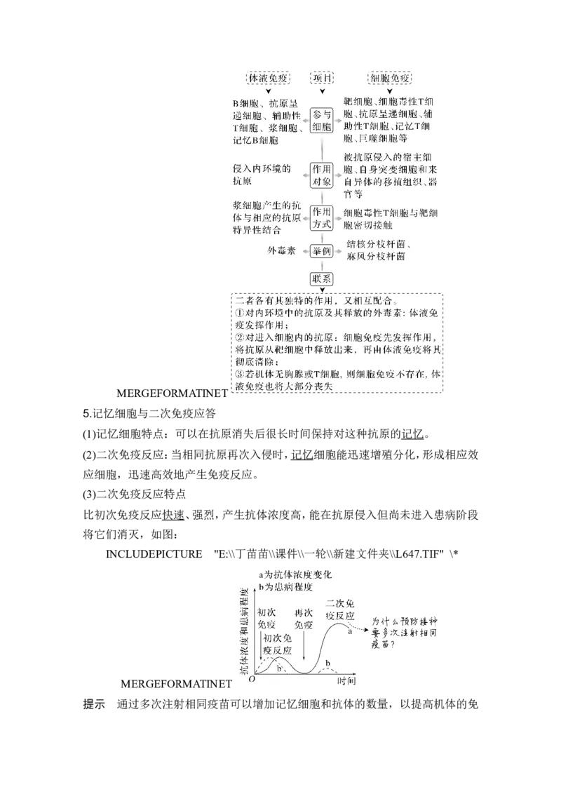 第25讲免疫调节_2024年新高考资料_1.2024一轮复习_2024年高考生物一轮复习讲义（新人教版）_另附1套Word版题库_选择性必修1_第八单元稳态与调节