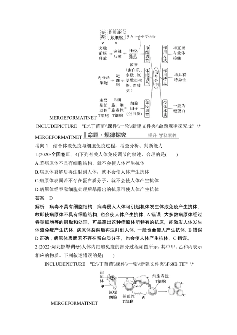 第25讲免疫调节_2024年新高考资料_1.2024一轮复习_2024年高考生物一轮复习讲义（新人教版）_另附1套Word版题库_选择性必修1_第八单元稳态与调节