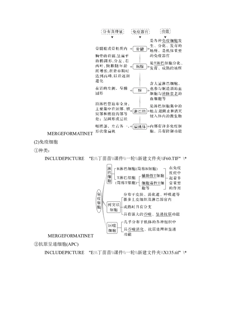 第25讲免疫调节_2024年新高考资料_1.2024一轮复习_2024年高考生物一轮复习讲义（新人教版）_另附1套Word版题库_选择性必修1_第八单元稳态与调节