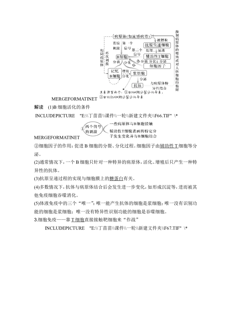 第25讲免疫调节_2024年新高考资料_1.2024一轮复习_2024年高考生物一轮复习讲义（新人教版）_另附1套Word版题库_选择性必修1_第八单元稳态与调节
