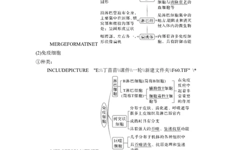 第25讲免疫调节_2024年新高考资料_1.2024一轮复习_2024年高考生物一轮复习讲义（新人教版）_另附1套Word版题库_选择性必修1_第八单元稳态与调节