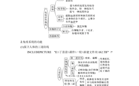 第25讲免疫调节_2024年新高考资料_1.2024一轮复习_2024年高考生物一轮复习讲义（新人教版）_另附1套Word版题库_选择性必修1_第八单元稳态与调节
