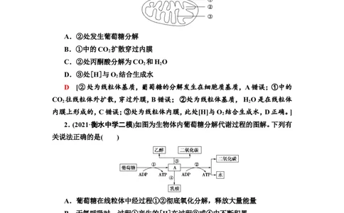 [13326478]备考2023生物课时分层作业8　细胞呼吸的原理和应用(含解析）_新高考复习资料_2023年新高考复习资料_专项复习_备考2023新高考生物课时分层作业