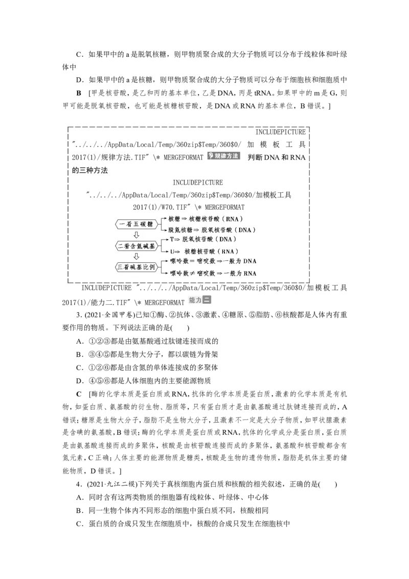 [12501766]高中生物一轮复习学案：第3讲　蛋白质和核酸_新高考复习资料_2023年新高考复习资料_一轮复习_精讲精练2023届新高考生物一轮复习学案