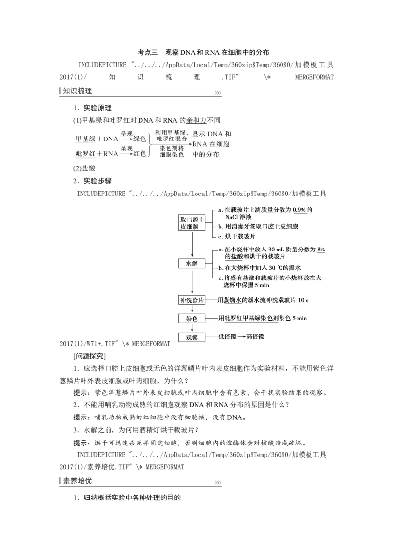 [12501766]高中生物一轮复习学案：第3讲　蛋白质和核酸_新高考复习资料_2023年新高考复习资料_一轮复习_精讲精练2023届新高考生物一轮复习学案