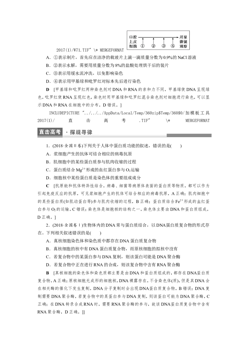 [12501766]高中生物一轮复习学案：第3讲　蛋白质和核酸_新高考复习资料_2023年新高考复习资料_一轮复习_精讲精练2023届新高考生物一轮复习学案