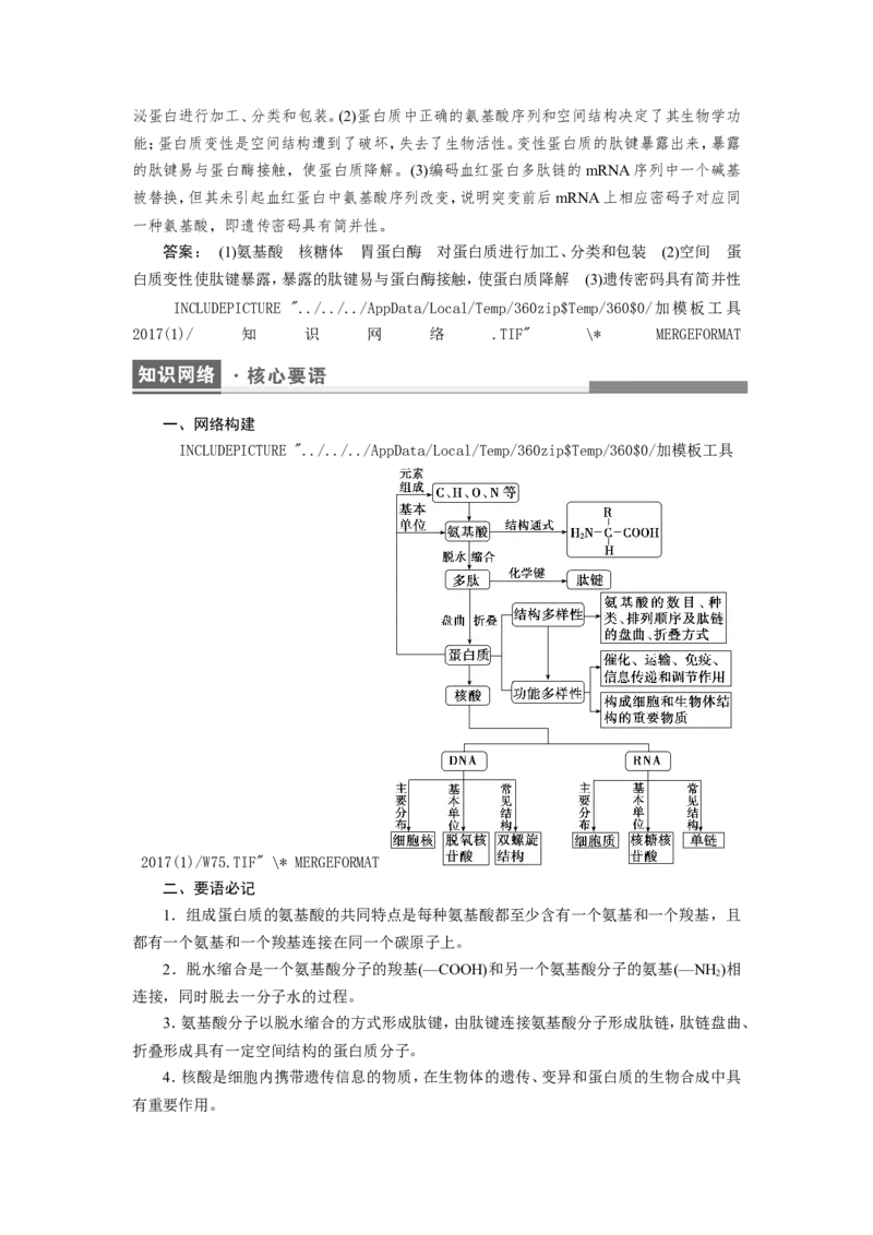 [12501766]高中生物一轮复习学案：第3讲　蛋白质和核酸_新高考复习资料_2023年新高考复习资料_一轮复习_精讲精练2023届新高考生物一轮复习学案