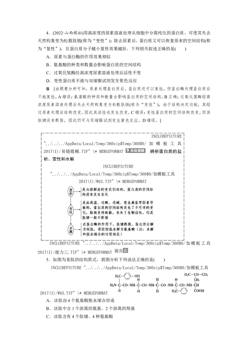 [12501766]高中生物一轮复习学案：第3讲　蛋白质和核酸_新高考复习资料_2023年新高考复习资料_一轮复习_精讲精练2023届新高考生物一轮复习学案