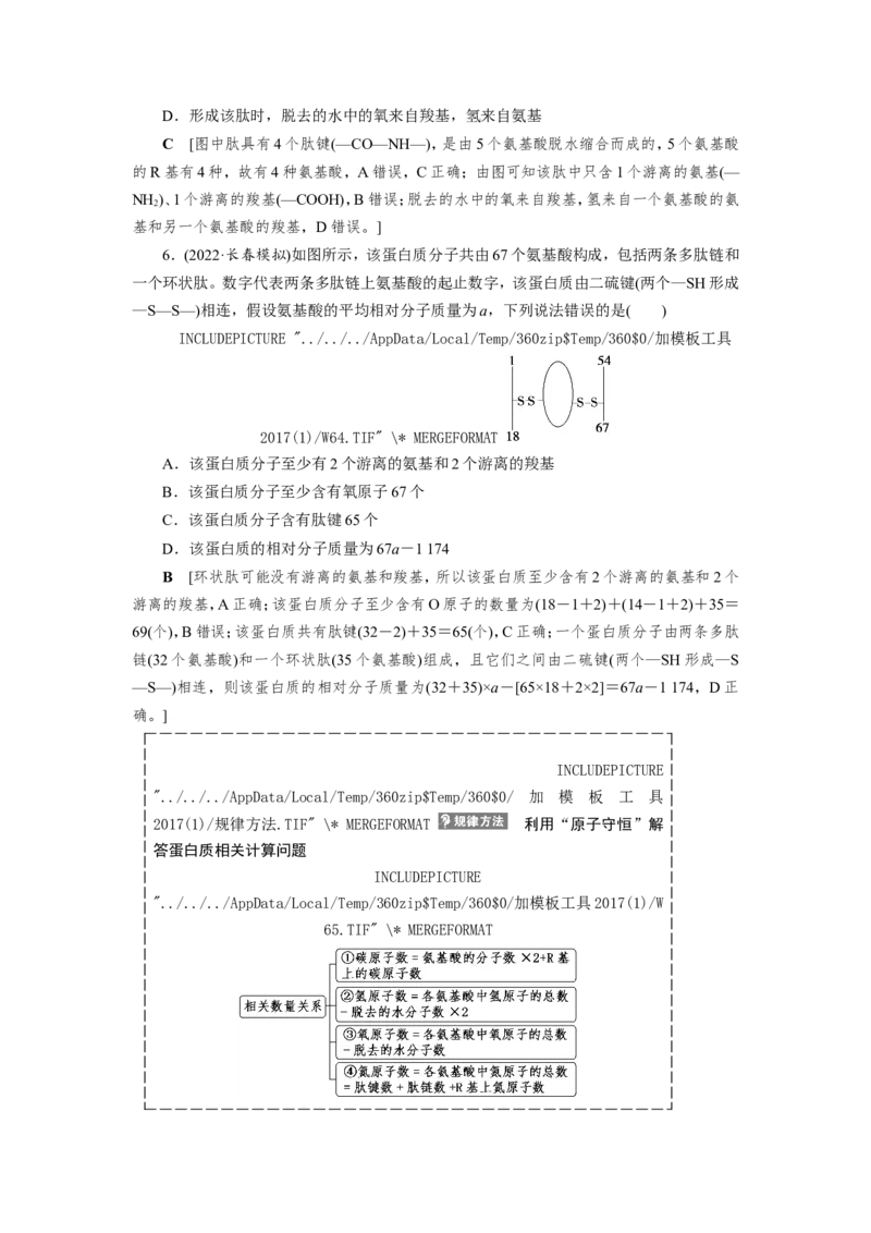 [12501766]高中生物一轮复习学案：第3讲　蛋白质和核酸_新高考复习资料_2023年新高考复习资料_一轮复习_精讲精练2023届新高考生物一轮复习学案