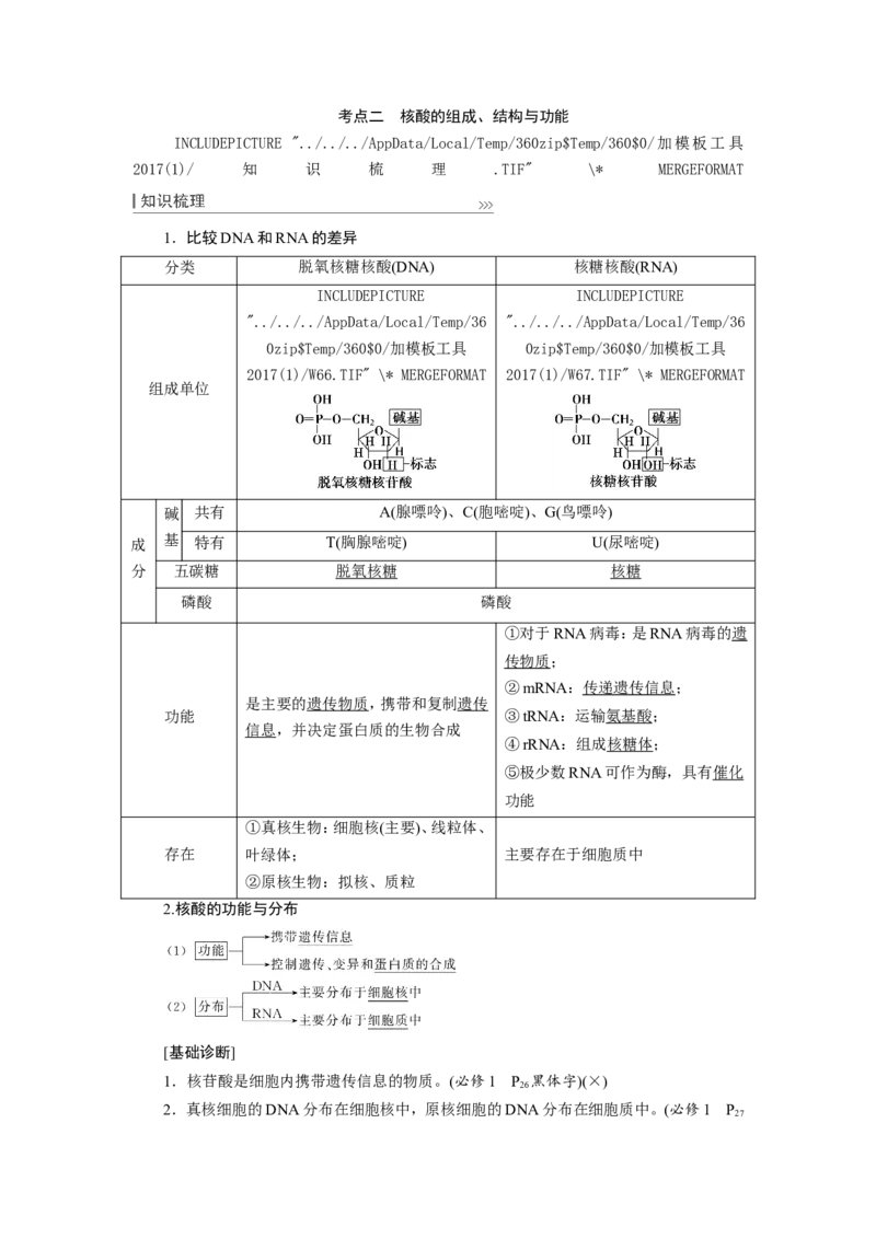 [12501766]高中生物一轮复习学案：第3讲　蛋白质和核酸_新高考复习资料_2023年新高考复习资料_一轮复习_精讲精练2023届新高考生物一轮复习学案