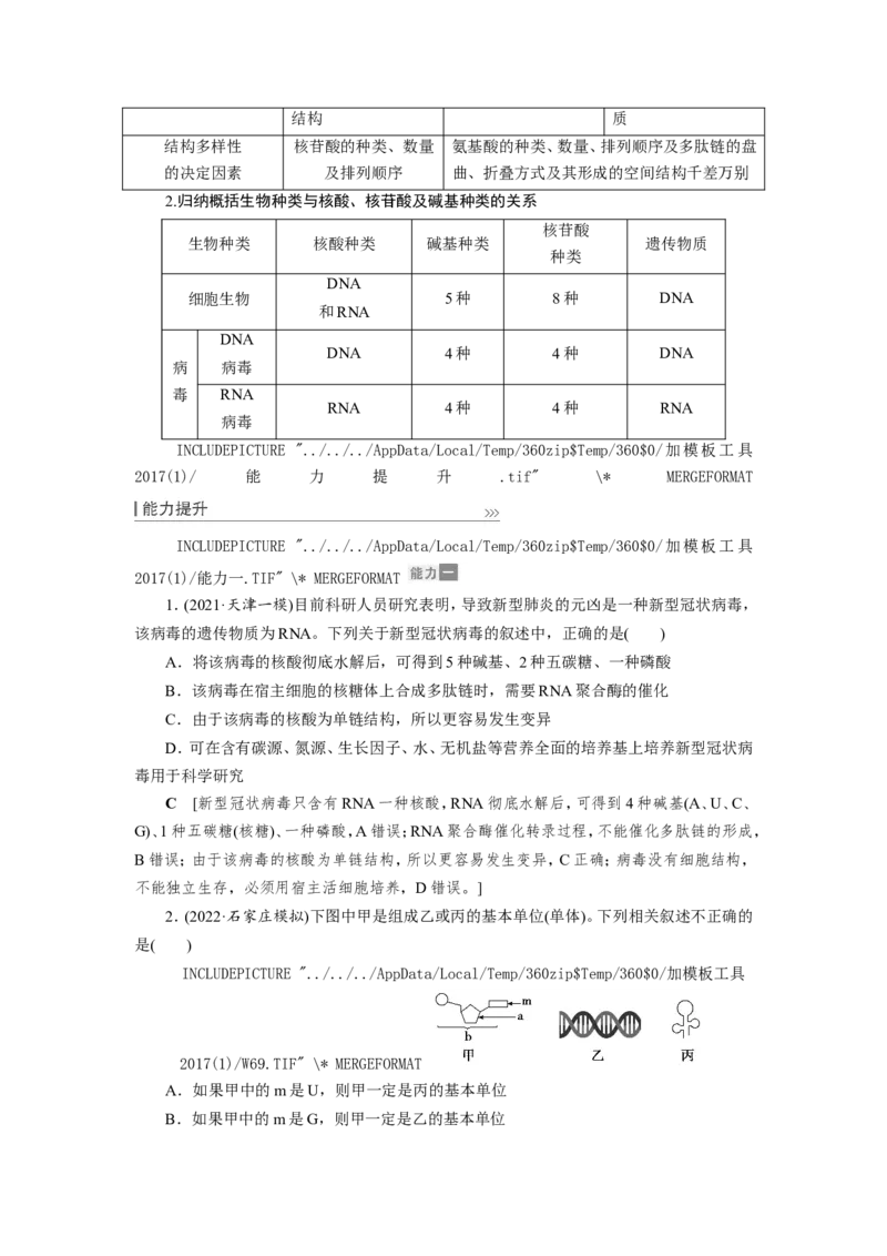 [12501766]高中生物一轮复习学案：第3讲　蛋白质和核酸_新高考复习资料_2023年新高考复习资料_一轮复习_精讲精练2023届新高考生物一轮复习学案