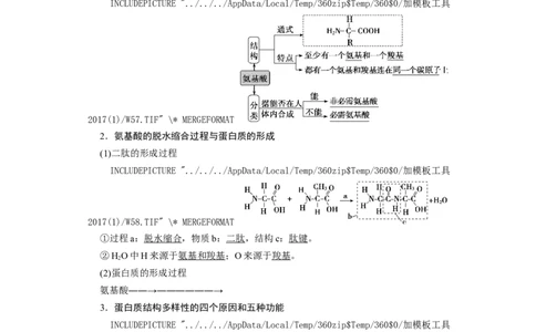 [12501766]高中生物一轮复习学案：第3讲　蛋白质和核酸_新高考复习资料_2023年新高考复习资料_一轮复习_精讲精练2023届新高考生物一轮复习学案