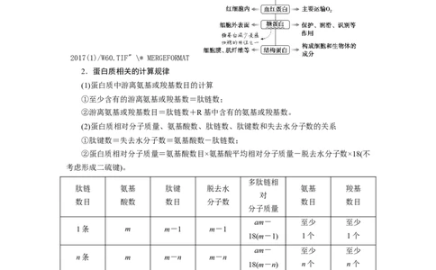 [12501766]高中生物一轮复习学案：第3讲　蛋白质和核酸_新高考复习资料_2023年新高考复习资料_一轮复习_精讲精练2023届新高考生物一轮复习学案
