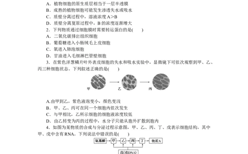 专练15　细胞的物质输入和输出综合练_新高考复习资料_2023年新高考复习资料_专项复习_2023《微专题&middot;小练习》&middot;生物&middot;新教材&middot;XL-7