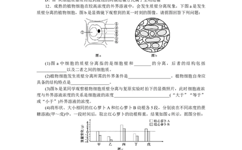 专练15　细胞的物质输入和输出综合练_新高考复习资料_2023年新高考复习资料_专项复习_2023《微专题&middot;小练习》&middot;生物&middot;新教材&middot;XL-7