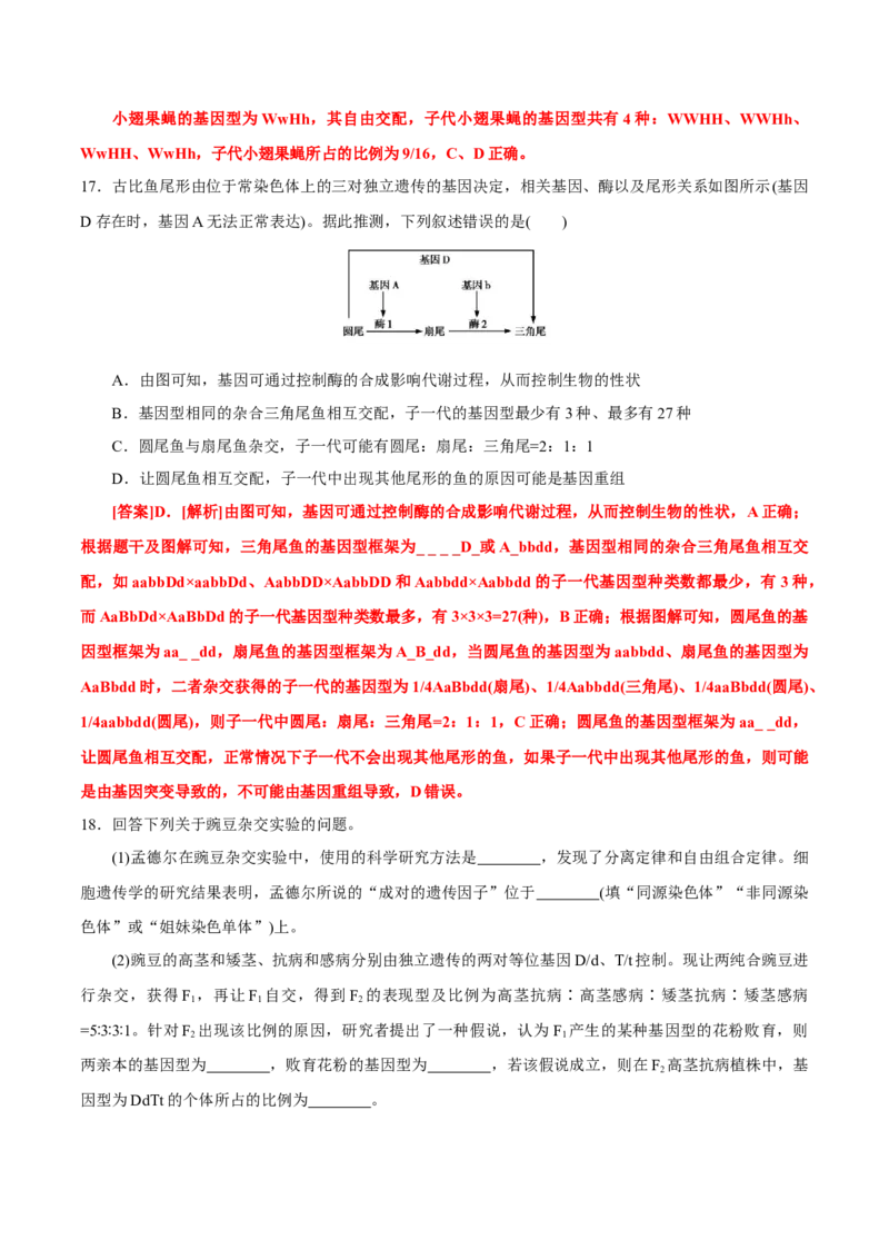GKSW150_第14讲基因的自由组合定律-备战2022年高考生物一轮复习精品讲义（人教版）(解析版)_新高考复习资料_2022年新高考复习资料_备战2022新高考生物一轮复习精品讲义（人教版）