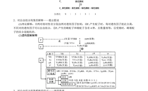 GKSW150_第14讲基因的自由组合定律-备战2022年高考生物一轮复习精品讲义（人教版）(解析版)_新高考复习资料_2022年新高考复习资料_备战2022新高考生物一轮复习精品讲义（人教版）